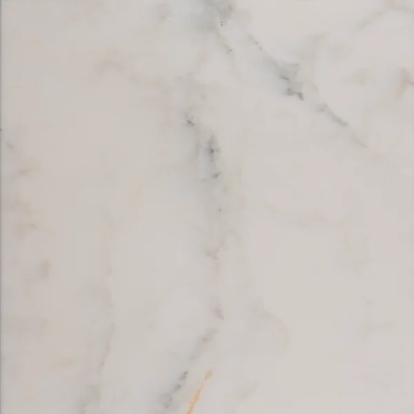 Top view of honed Calacatta 18x18 tile showing refined veining and warm undertones