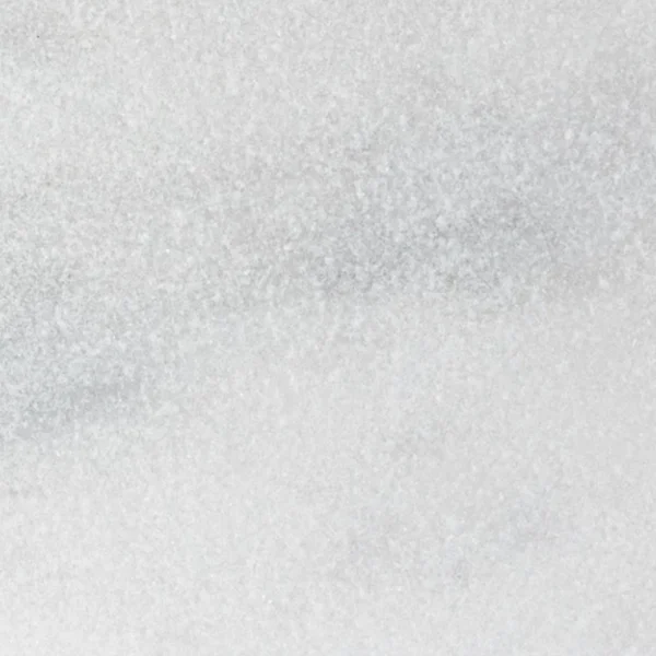 Close-up of Avalon White marble paver in 12x24 size, showing the leathered texture and subtle tonal variations for slip resistance and refined outdoor style