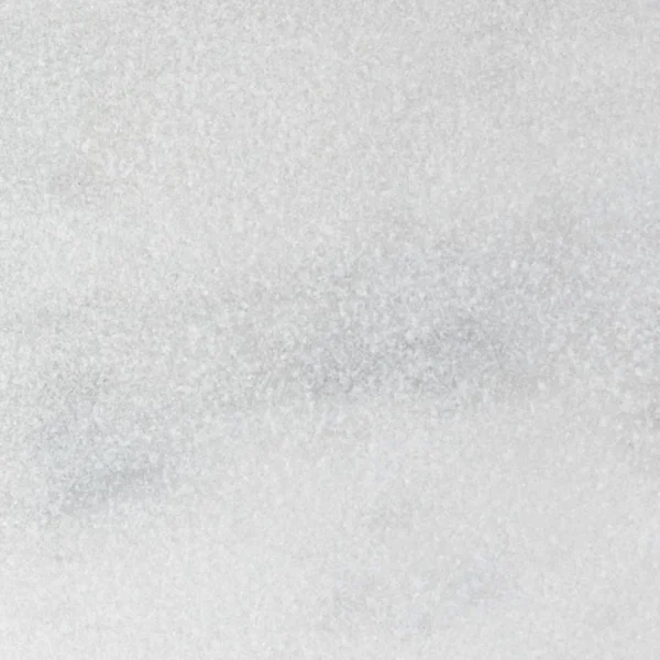 Detailed surface of Avalon White 12"x24" marble paver with leather finish, highlighting fine texture and gentle movement of grey undertones