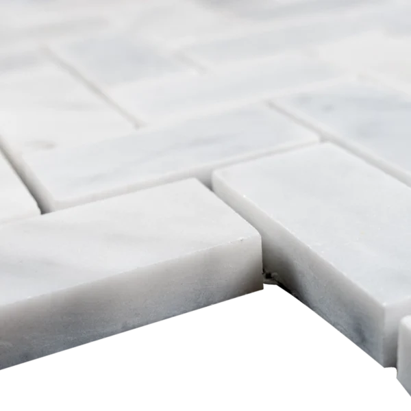 Macro of two Carrara 1"x2" polished mosaic pieces showing smooth surface and clean straight edges.