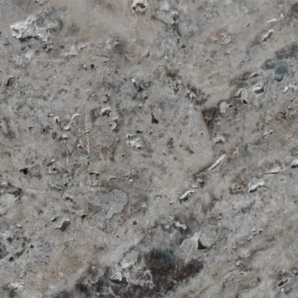 Close-up of Silver Tumbled 12" x 24" travertine paver showing swirled veining, small cavities, and weathered stone texture.