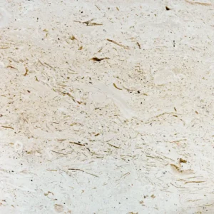 myra shell limestone 24x24 tumbled paver