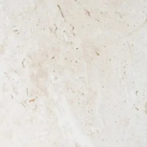 Myra Shell Limestone Tumbled 24x24 Paver