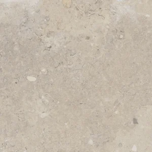 beige porcelein paver 2cm