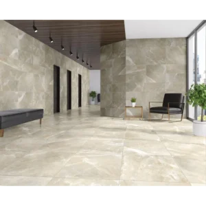 Salt Stone Desert Natural Porcelain Tile 24x24 gallery image 1