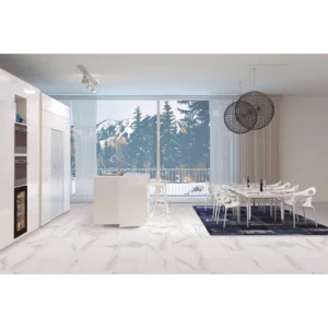 Alsacia Grey Polished Rectified Porcelain Tile 24x48 gallery image 1