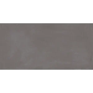 Azuma DG natural rectified 24x48 porcelain tile with a neutral finish