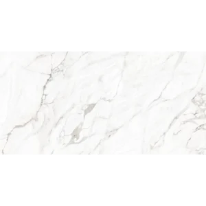 Kobe Borghini polished rectified porcelain tile 24x48 in Borghini color